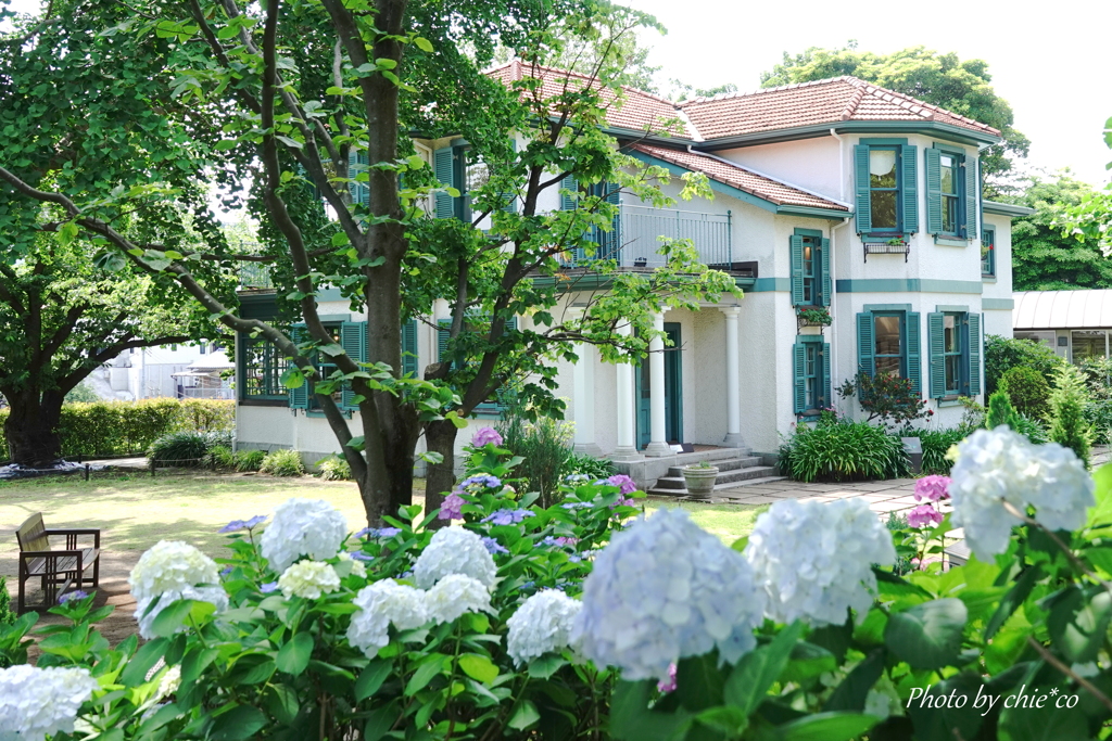 横浜山手イタリア山庭園-193