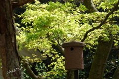 鎌倉-502