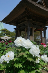 龍華寺 伊藤博文別邸-148