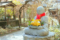 明月院-127