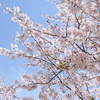 鎌倉-169