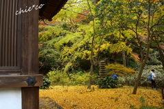 三渓園-308