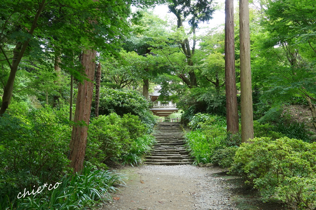 北鎌倉-292