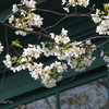 山手イタリア山庭園-137