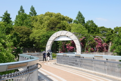 山下公園-089