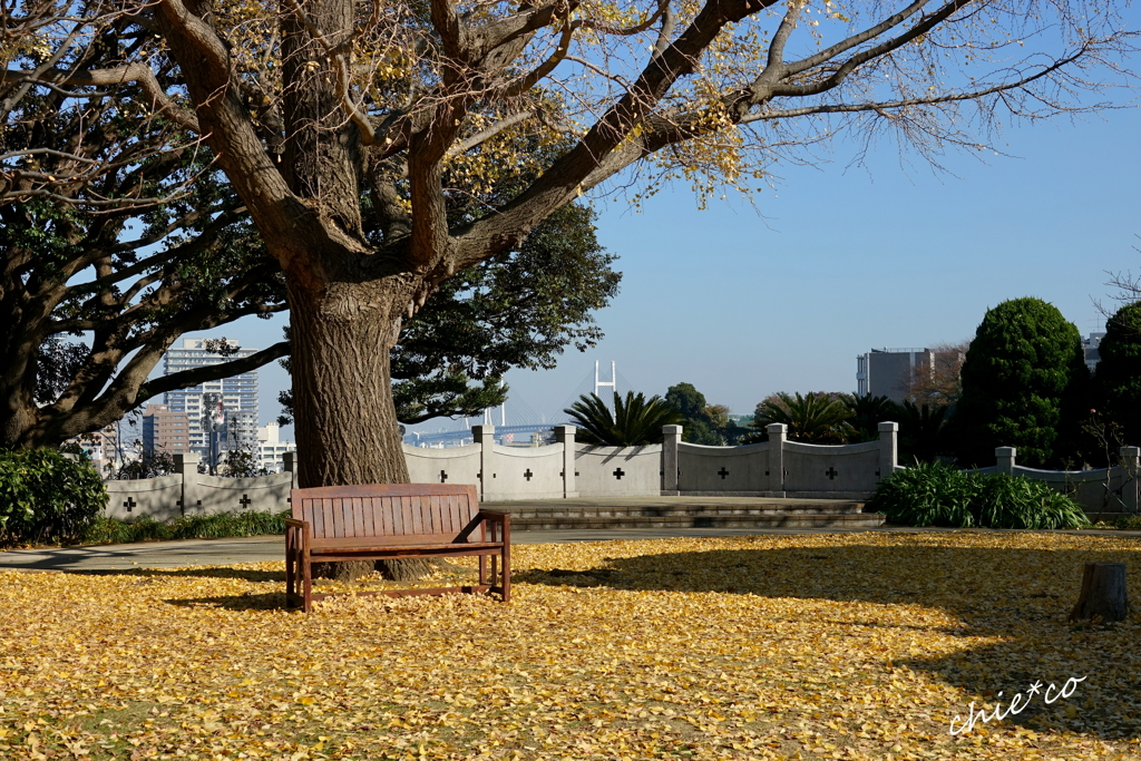 山手イタリア山庭園-229