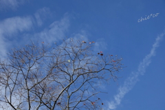 三渓園-434
