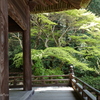 鎌倉～桜の季節-273