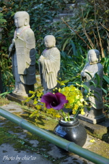 明月院-233
