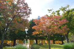 山下公園-061