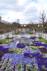 山下公園で。。５