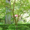 一条恵観山荘-191