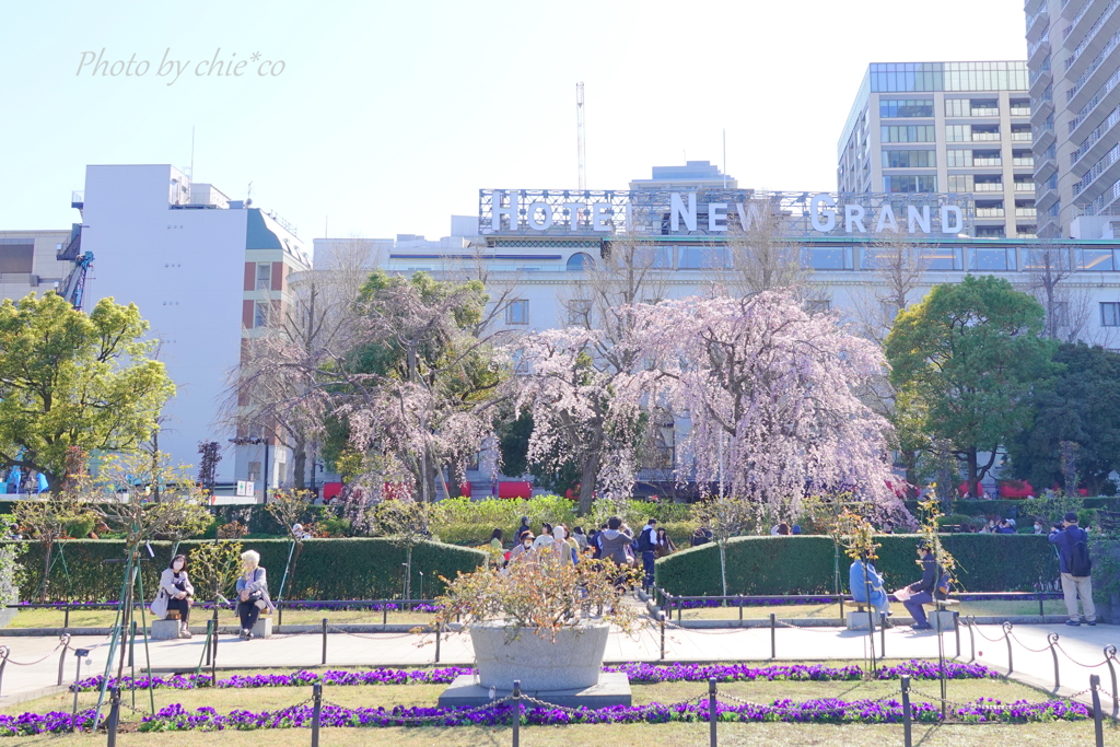 山下公園-133