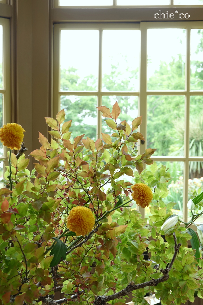 花と器のハーモニー2019-370