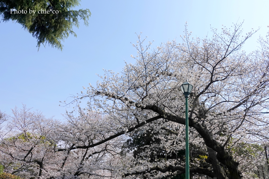 山手公園-039