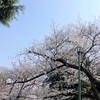 山手公園-039
