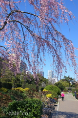 山下公園-151