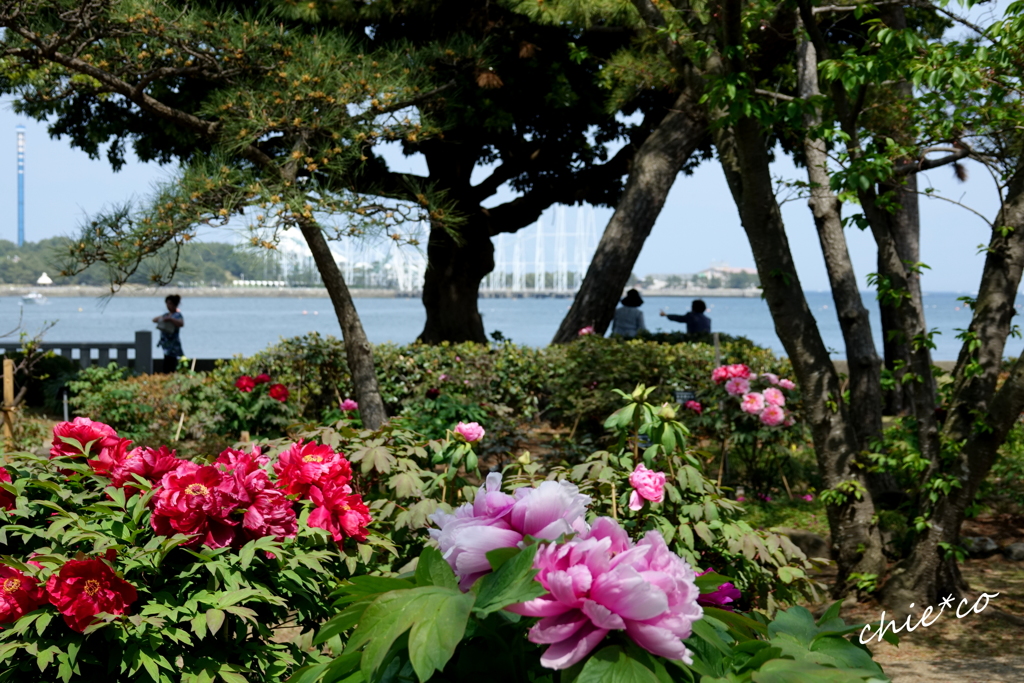 龍華寺 伊藤博文別邸-198