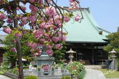 龍華寺 伊藤博文別邸-177