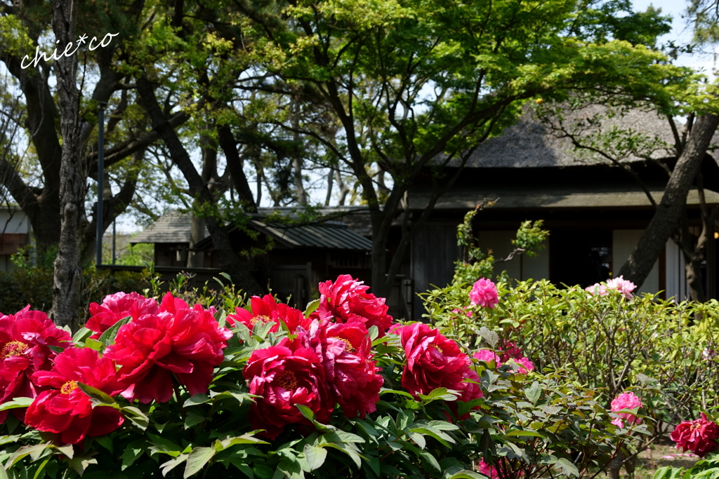 龍華寺 伊藤博文別邸-196