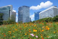 浜離宮恩賜庭園-167