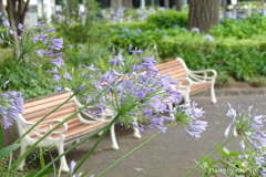 山下公園-111