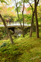 箱根美術館庭園-221