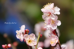 鎌倉-158