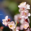 鎌倉-158