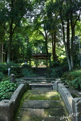 鎌倉-704