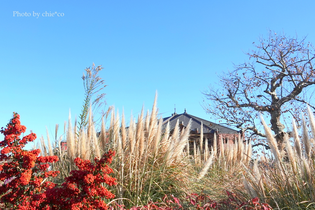 みなとみらい-032