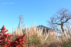 みなとみらい-032