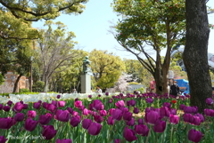 横浜公園-094