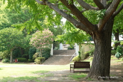山手イタリア山庭園-009