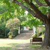 山手イタリア山庭園-009