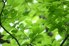 久良岐公園-149