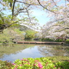 鎌倉-184