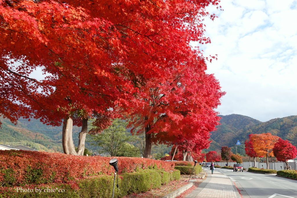 紅葉の河口湖畔