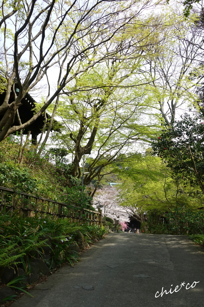 鎌倉-336
