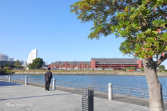 横浜の海辺さんぽ-041