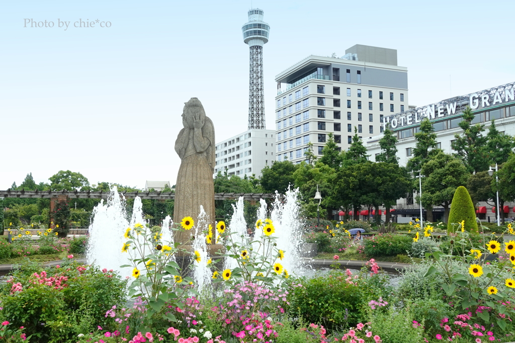 山下公園-124