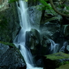葉山-186