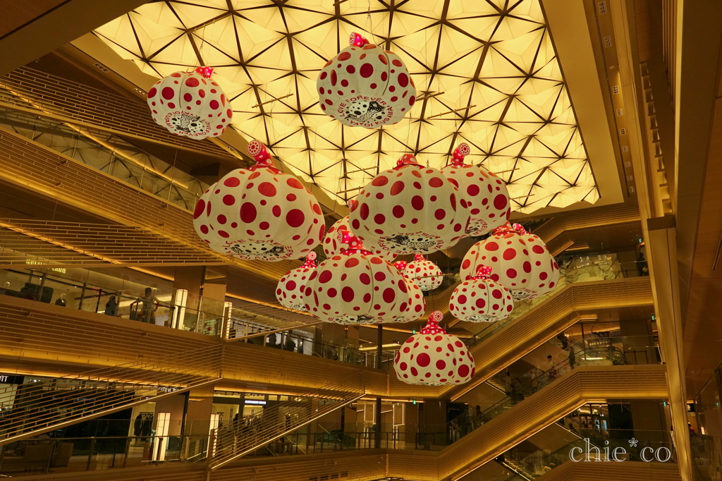 GINZA SIX-109