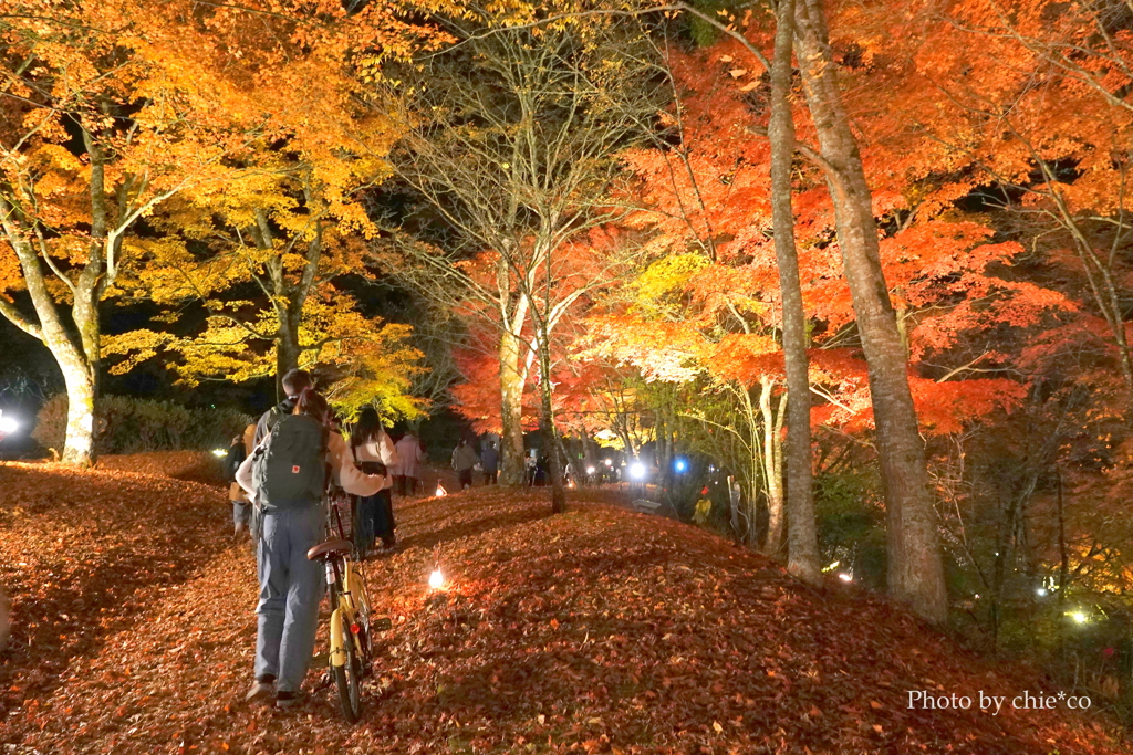 山中湖 紅葉ライトアップ-007