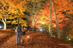 山中湖 紅葉ライトアップ-007