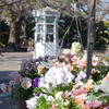 横浜山手-134