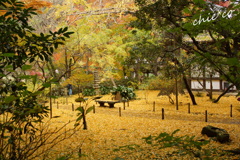 三渓園-313