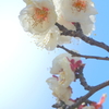 三渓園-152