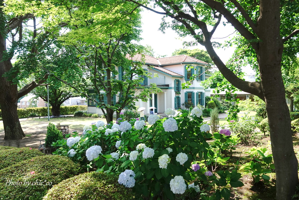 横浜山手イタリア山庭園-190