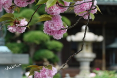龍華寺 伊藤博文別邸-176